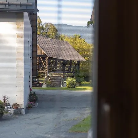 Pura Vida شقة Vorderberg