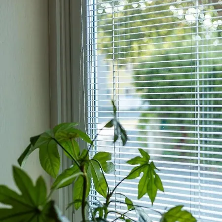 Pura Vida شقة Vorderberg