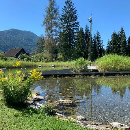 Pura Vida * Vorderberg